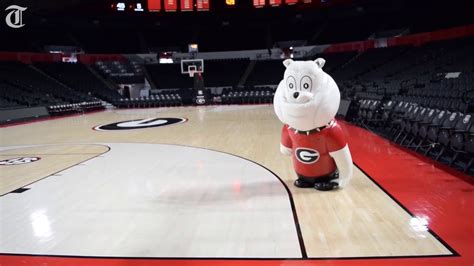 Spike as UGA's Ambassador: Promoting the School's Values and Traditions